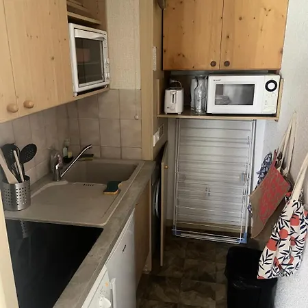 Apartment Les Choseaux - 2 Pieces 4 Personnes Expose Sud Mae-5764 *